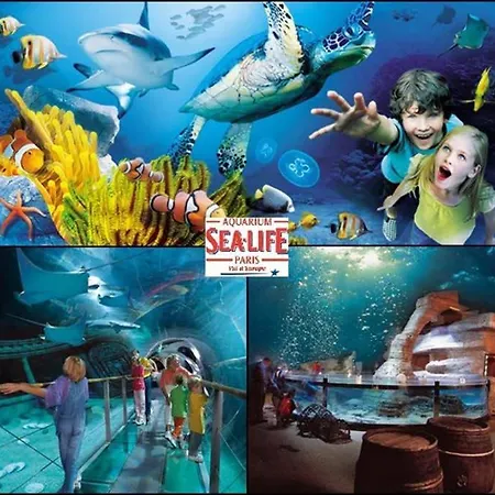 Esbly: Studio A Deux Pas De Disneyland Apartmán Esbly